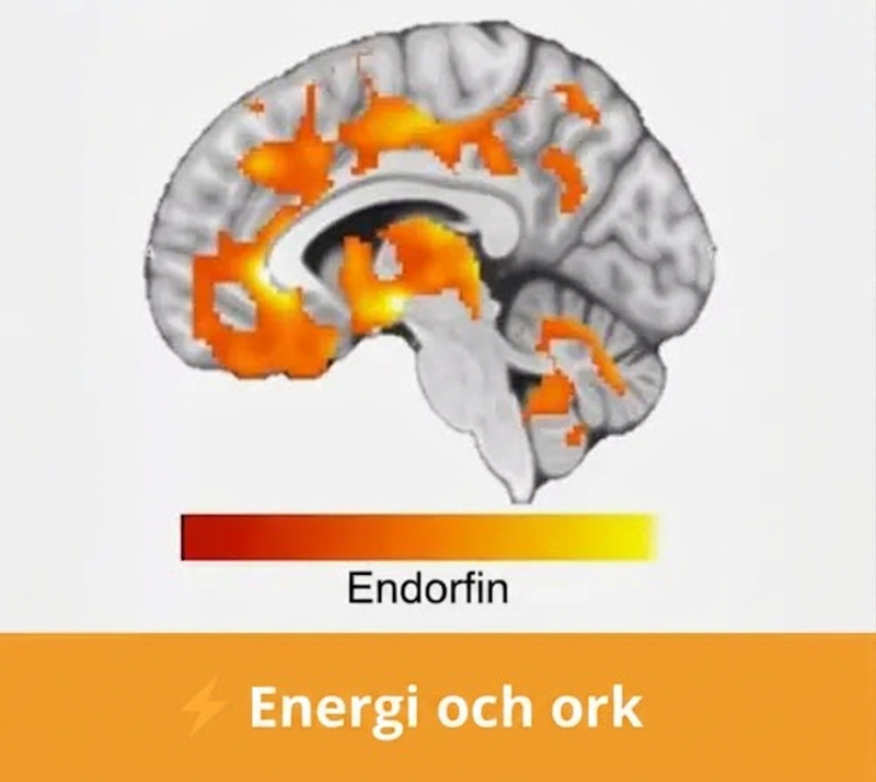 Du får förnyad energi och ork